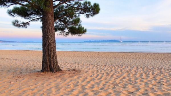 Top stratégies pour localiser une fuite à Arcachon intacte